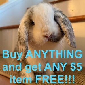 Buy Anything from My Closet and I’ll be Happy to Include any $5 Item FREE!!!